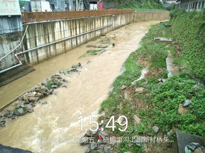 龙岗区河道管养三标段项目6月22日河道防汛工作总结