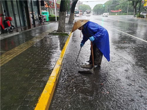 金山吕巷镇水利设施再升级 年内建成6座水闸，明年补强防汛短板